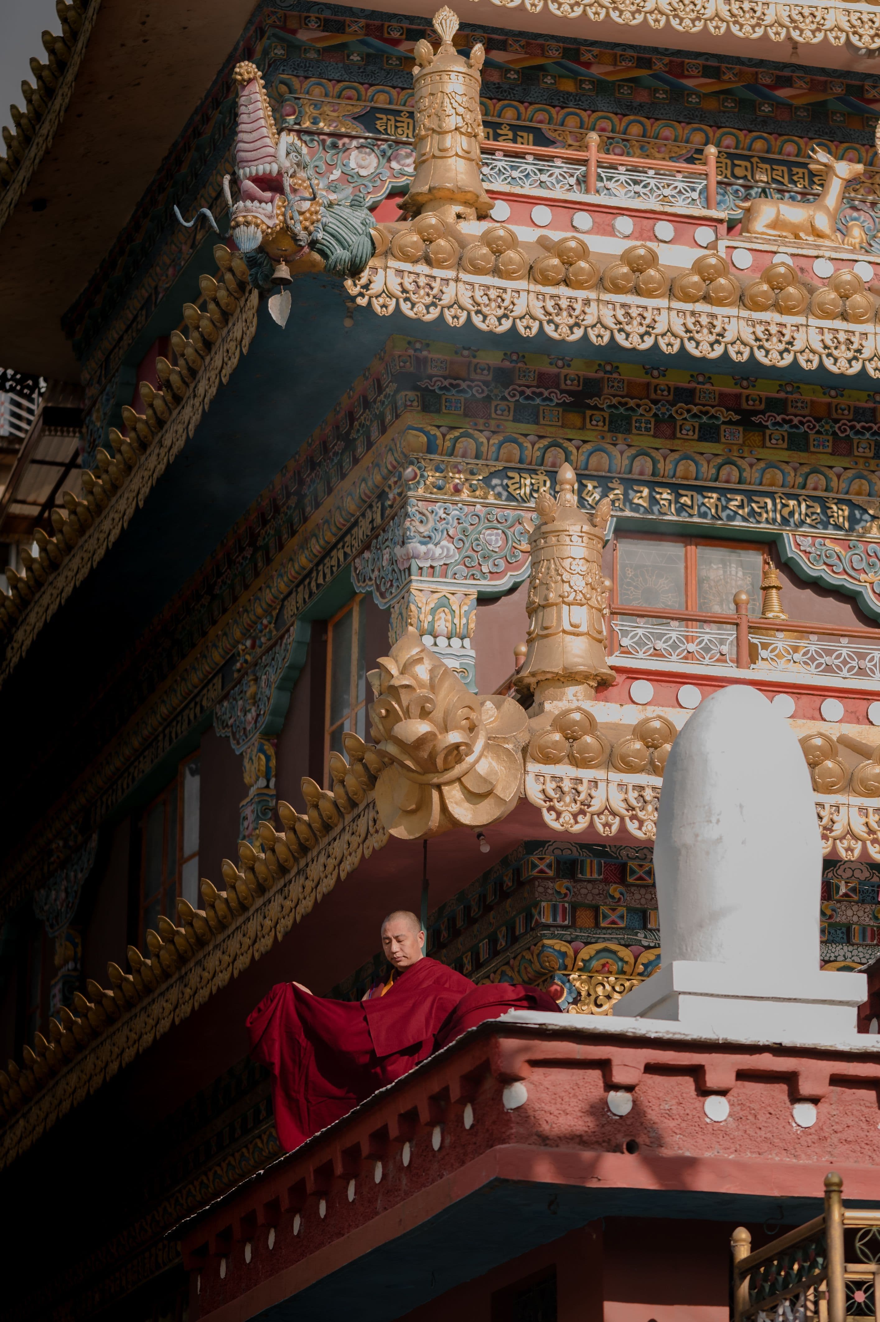 5-Day Amritsar, Dharamshala & Palampur Grand Tour thumbnail 2