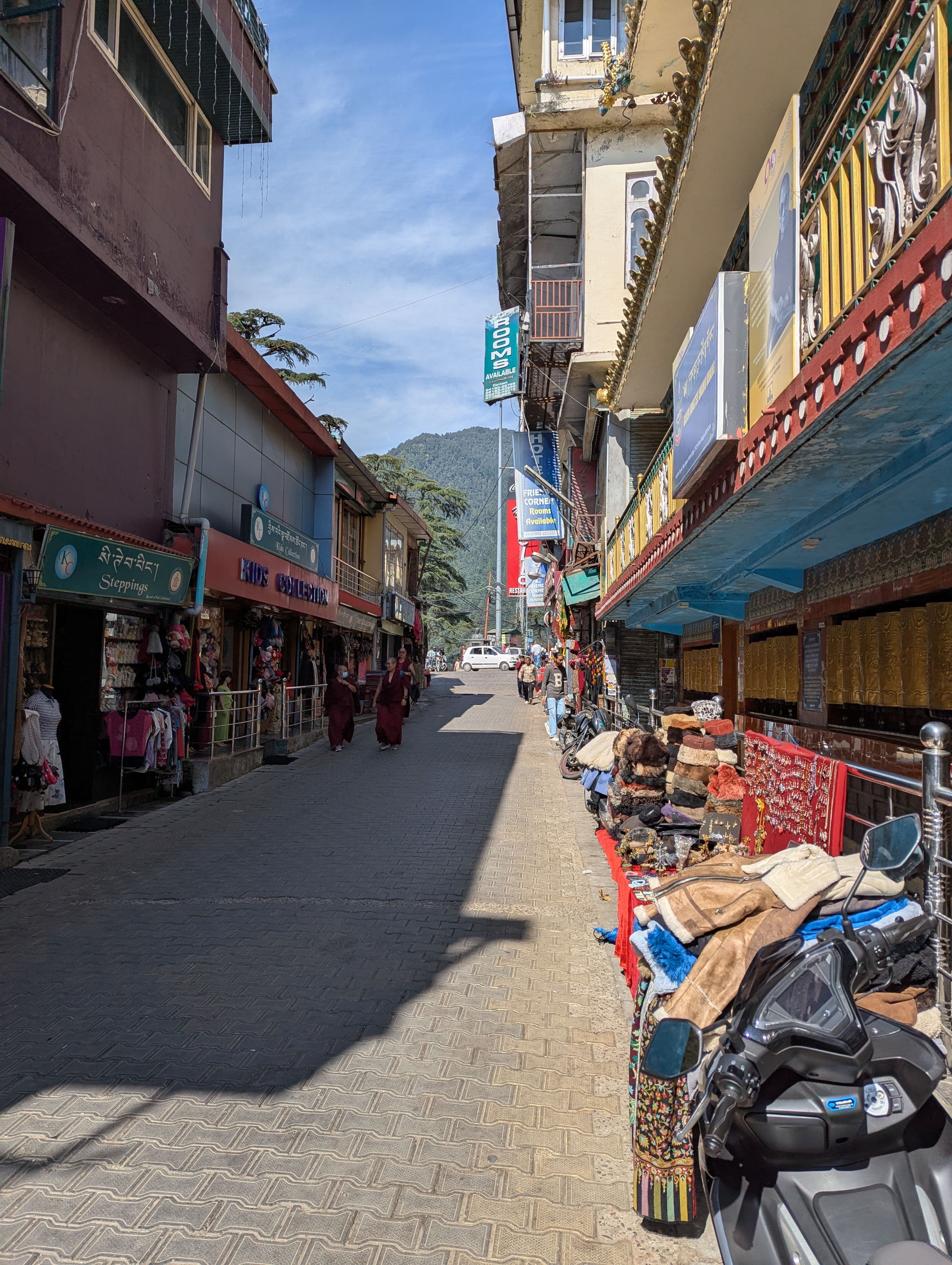 5-Day Amritsar, Dharamshala & Palampur Grand Tour thumbnail 8